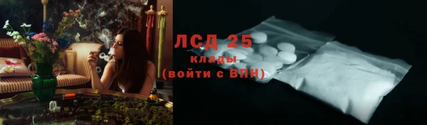 ГАЛЛЮЦИНОГЕННЫЕ ГРИБЫ Балахна
